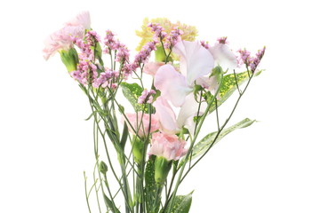 Obraz premium パステルカラーの花