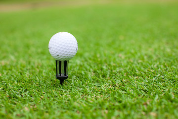 Golf ball on a tee against the golf course