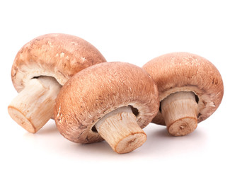 Brown champignon mushroom