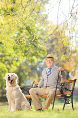 Senior man seated on a wooden bench with a dog relaxing in park