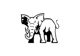 elephant