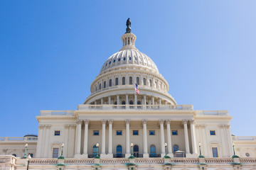 Fototapeta premium US Capitol Building in Washington DC