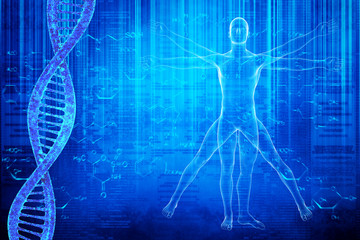 DNA molecules and virtuvian man