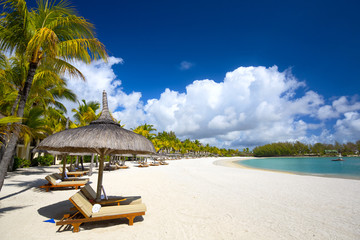 White sand tropical beach in Mauritius Island - obrazy, fototapety, plakaty