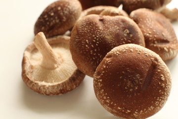 japanese mushroom, shiitake