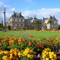 Fototapeta premium Paris - Luxembourg Garden