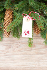evergreen tree with cones and christmas tag