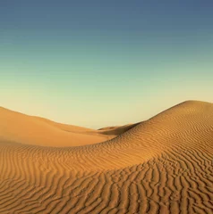 Afwasbaar fotobehang evening desert landscape - vintage retro style © Kokhanchikov