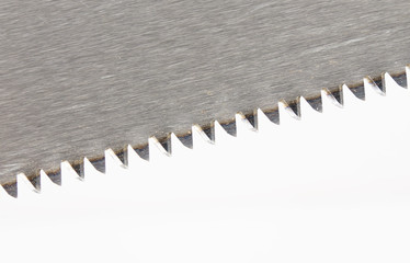 Macro of sawtooth
