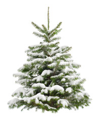 Perfekter verschneiter Weihnachtsbaum, isoliert