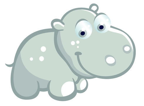 Baby hippopotamus