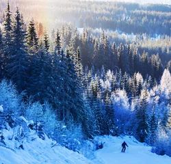 Foto op Canvas Ski resort © Galyna Andrushko