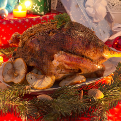 Christmas goose