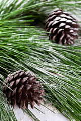 Naklejka na ściany i meble fir tree with pinecones