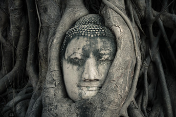 Tête de bouddha. Ayutthaya, Thaïlande