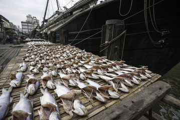 Dried sea fish on the pier in the port of Macau.