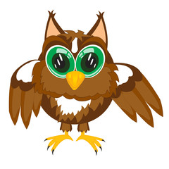 Cartoon of the owl on white