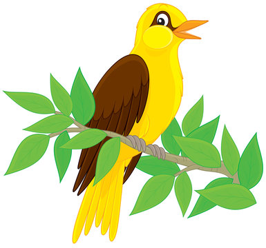 yellow bird perched on branch clip art preview