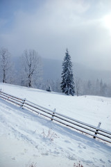 Beautiful winter landscape with snow covered trees