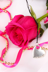 Beautiful pink rose with heart pendant