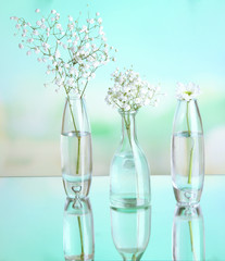 Plants in various glass containers on natural background