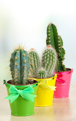 Collection of cactuses in bright pails on wooden table