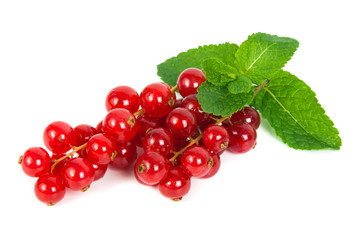 red currant