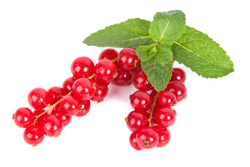 red currant