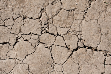 Dry land