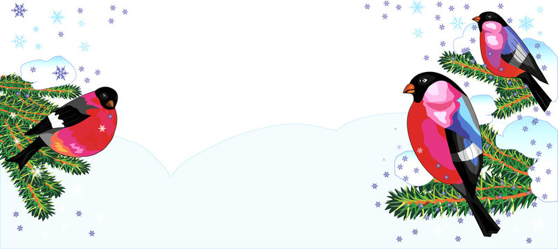 Bullfinch on a branch