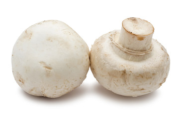 Champignon mushrooms
