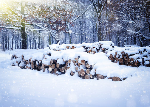 Fototapeta Winter landscape with firewoods covered snow