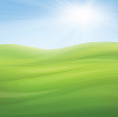 Obraz na płótnie Canvas Vector spring background, blue sky and green grass.