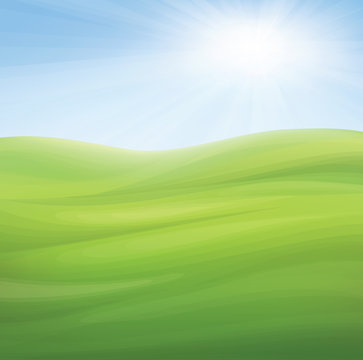 Vector spring background, blue sky and green grass.