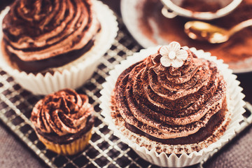 Delicious chocolate cupcakes with butter cream