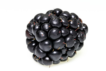 Brombeerernte