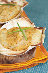 coquilles de poissons