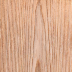 oak texture wood, tree background