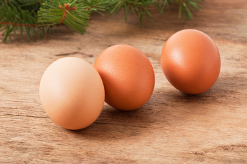 chicken egg