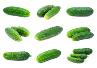 Cucumbers