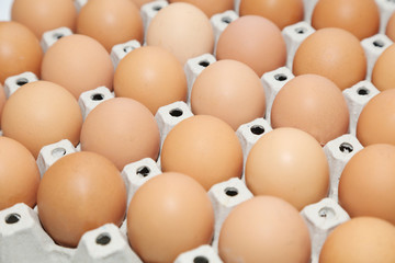 background of carton box of eggs
