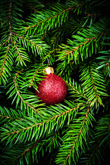 Obraz na płótnie Canvas Christmas Card with winter festive decoration. Christmas Fir Tre