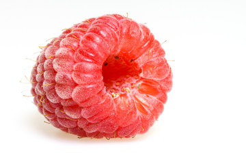 Himbeerernte