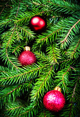 Obraz na płótnie Canvas Christmas Card with winter festive decoration. Christmas Fir Tre