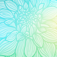 Hand drawn Dahlia flower