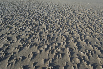 Sandformation am Nordseestrand 3