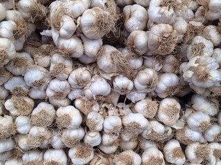 Şİfa Kaynağı Kuru Sarımsak