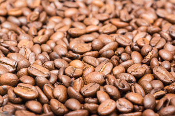 Fresh Roasted Coffee Beans