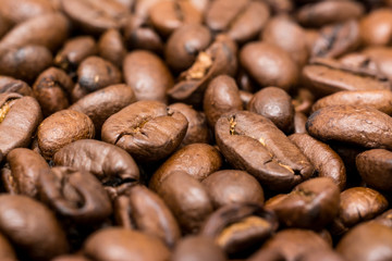 Fresh Roasted Coffee Beans