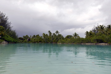 White Sand Beach in Polynesia